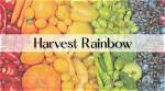 Rainbow Harvest Net Worth