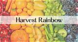 Rainbow Harvest Net Worth