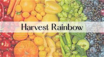 Rainbow Harvest Net Worth