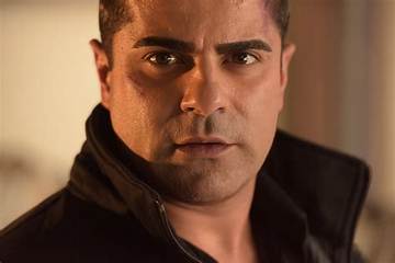 Ramin Sohrab Net Worth