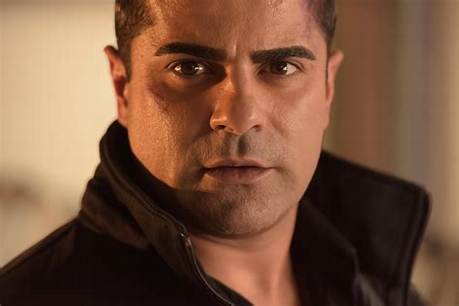 Ramin Sohrab Net Worth