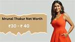 Ranjita Thakur Net Worth