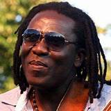 Richard Bona Net Worth