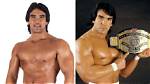 Ricky Steamboat Net Worth