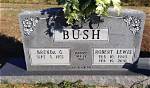Robert Lewis Bush Net Worth
