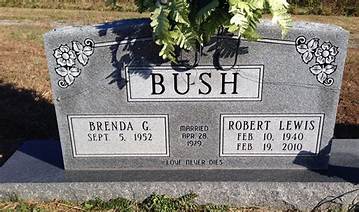 Robert Lewis Bush Net Worth