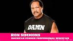 Robin Simmons Net Worth