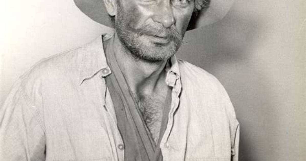 Royal Dano Net Worth