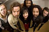 Rusted Root Net Worth