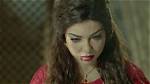 Safaa Sultan Net Worth