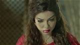 Safaa Sultan Net Worth