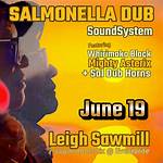 Salmonella Dub Net Worth