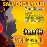 Salmonella Dub Net Worth