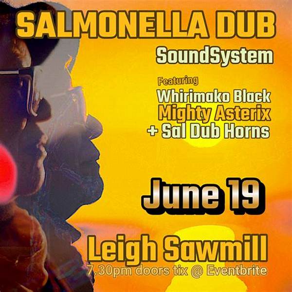 Salmonella Dub Net Worth