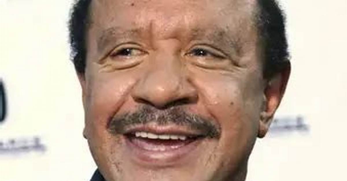Shalom Sherman Net Worth