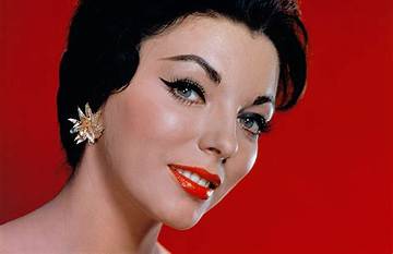 Sharon Collins Net Worth