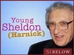 Sheldon Harnick Net Worth