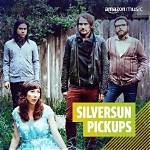 Silversun Pickups Net Worth