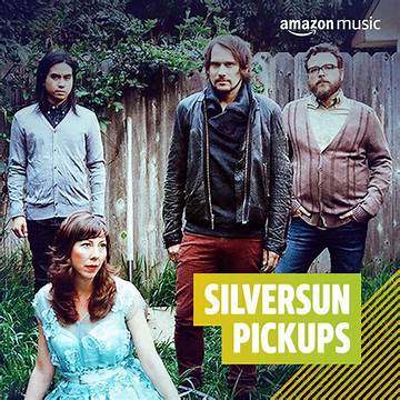 Silversun Pickups Net Worth