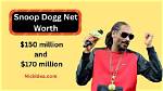 Snoop Minnis Net Worth