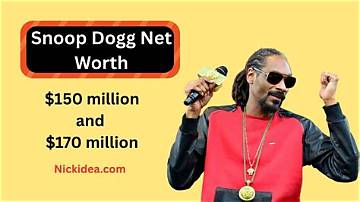 Snoop Minnis Net Worth