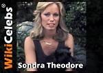 Sondra Theodore Net Worth