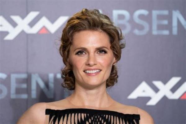 Stana Katic Net Worth
