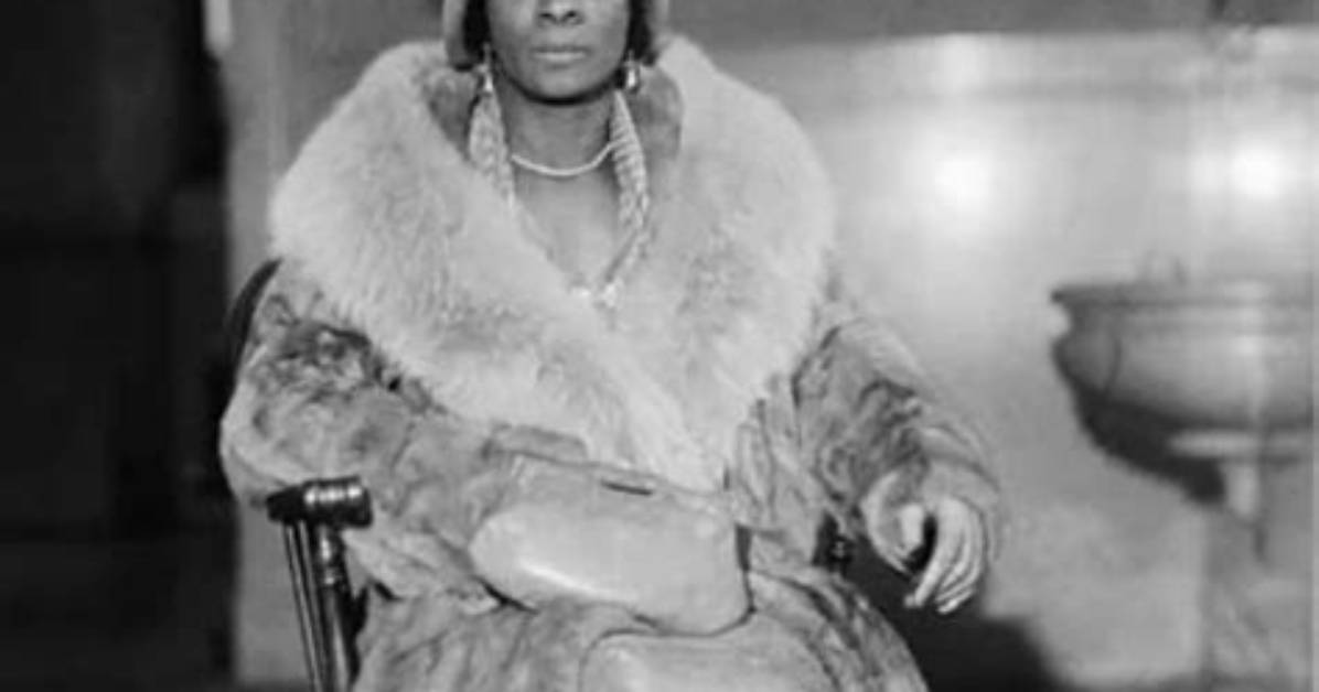 Stephanie St. Clair Net Worth
