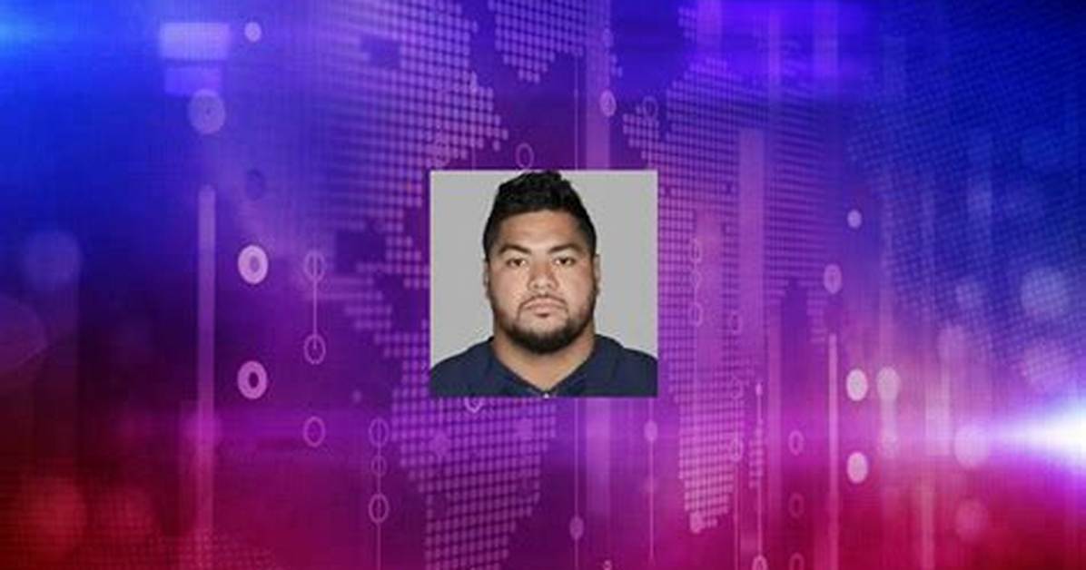 Stephen Paea Net Worth