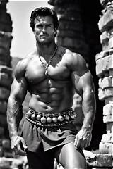 Steve Reeves Net Worth