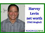 Stewart Harvey-Wilson Net Worth