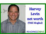 Stewart Harvey-Wilson Net Worth