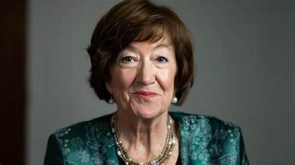 Susan Lyons Net Worth