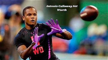 T. J. Callaway Net Worth