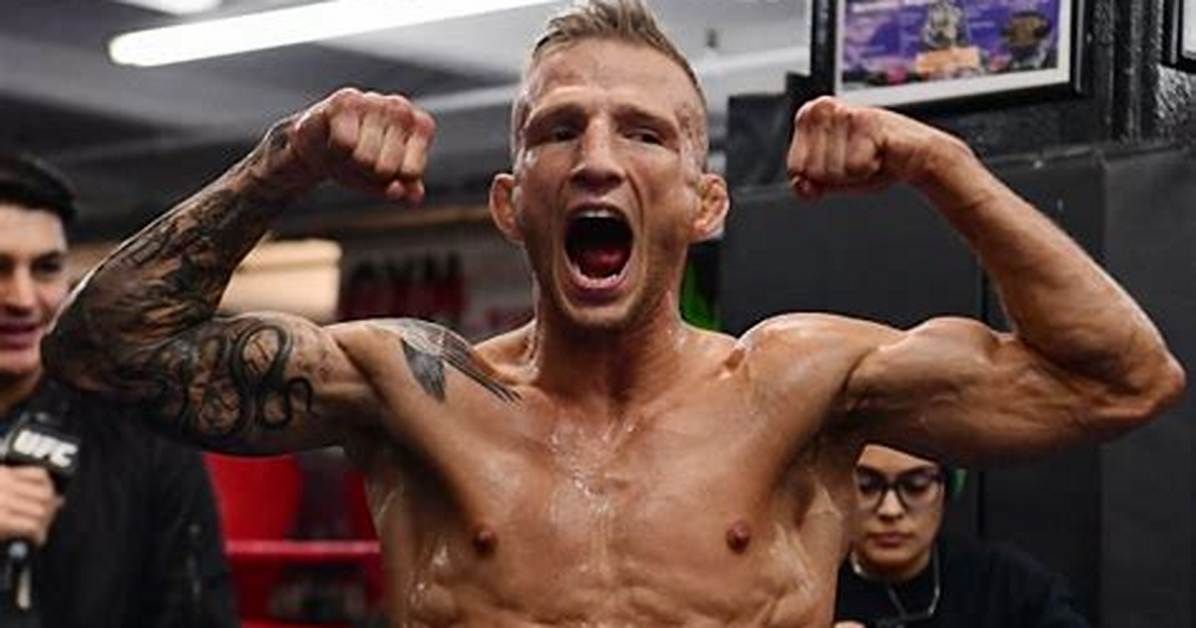 T. J. Dillashaw Net Worth