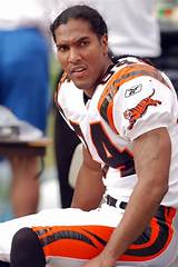 T. J. Houshmandzadeh Net Worth