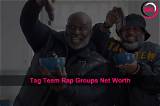 Tag Team Net Worth