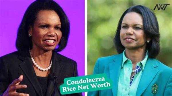 Tamati Rice Net Worth