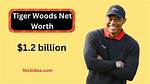 Terry Woods Net Worth