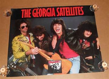 The Georgia Satellites Net Worth