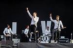 The Hives Net Worth