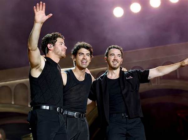 The Jonas Brothers Net Worth