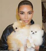 The Kendalls Net Worth