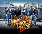 The Marshall Tucker Band Net Worth