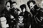The Misfits Net Worth