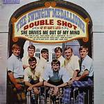 The Swingin’ Medallions Net Worth