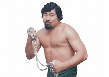 Tiger Chung Lee Net Worth