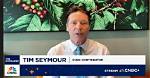 Tim Seymour Net Worth