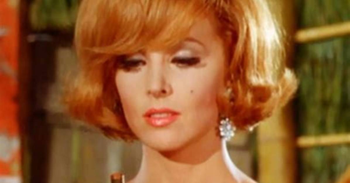 Tina Louise Net Worth