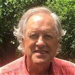 Tom Chapin Net Worth